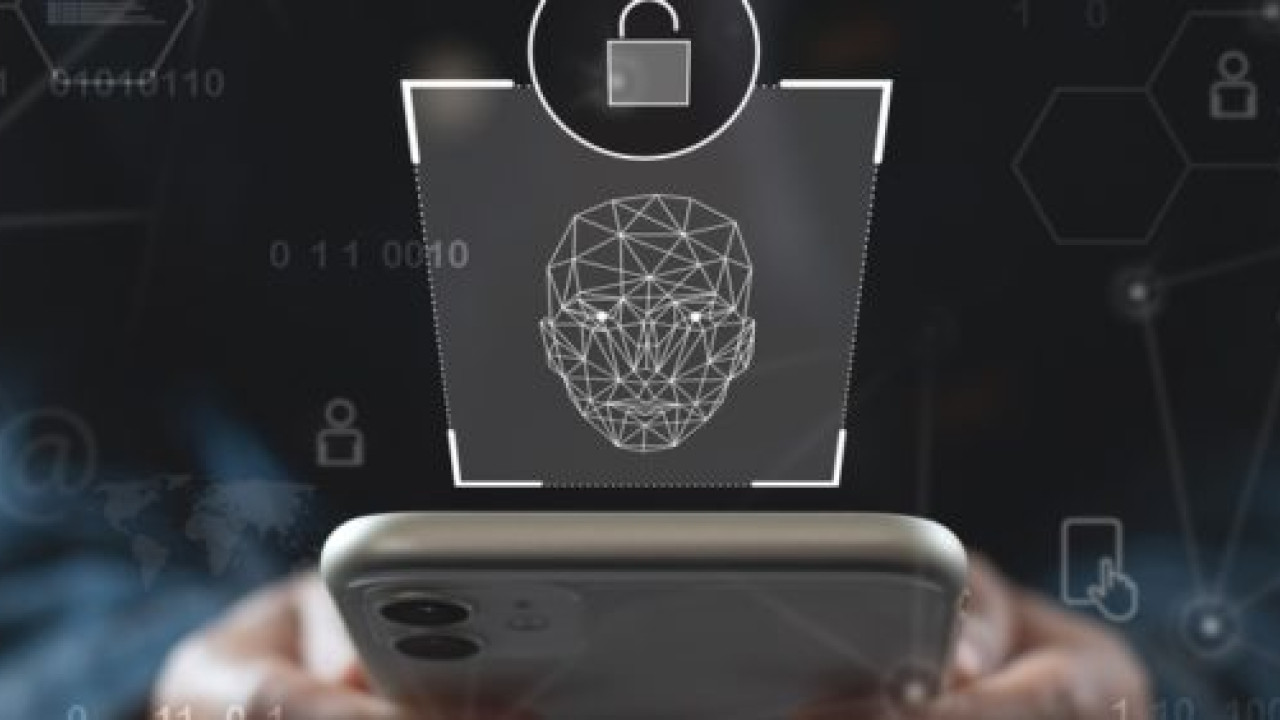 What Is The Difference Between Access And Connectivity?